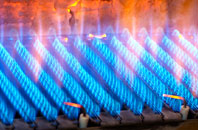 Denstroude gas fired boilers